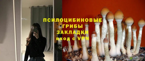 дживик Володарск