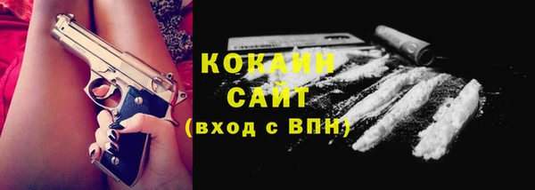 молекула духа Волоколамск