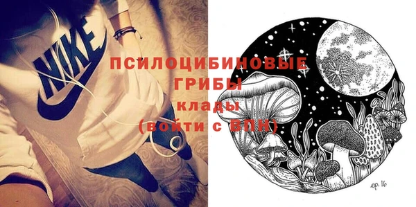 молекула духа Волоколамск