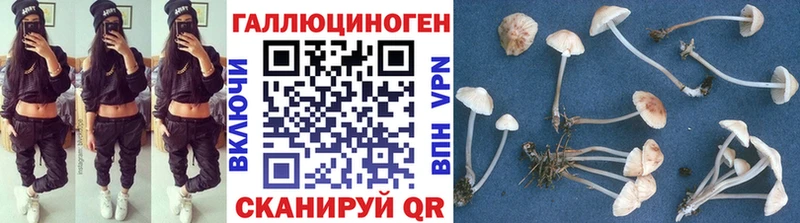где можно купить   Павлово  Галлюциногенные грибы мицелий 